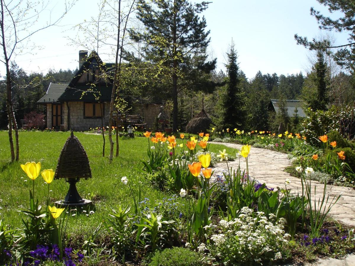 Zeleni Cardaci Etno Apartment